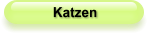 Katzen